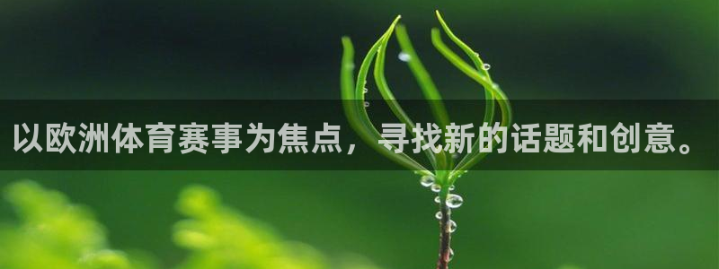 足彩开奖查询