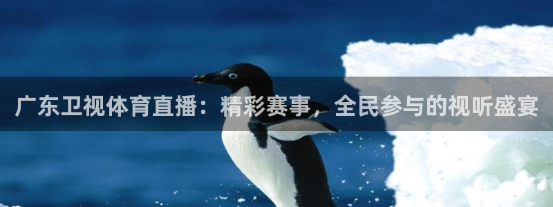 500官方彩票平台