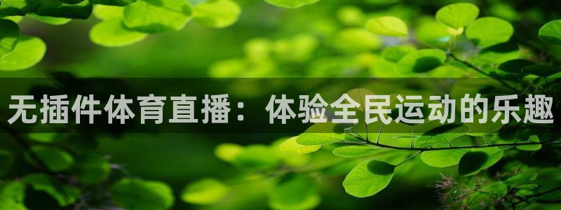 500万彩票网