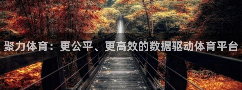 500彩票：聚力体育：更公平、更高效的数据驱动体育平台
