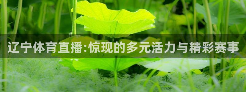 500官方彩票平台：辽宁体育直播:惊现的多元活力与精彩赛事