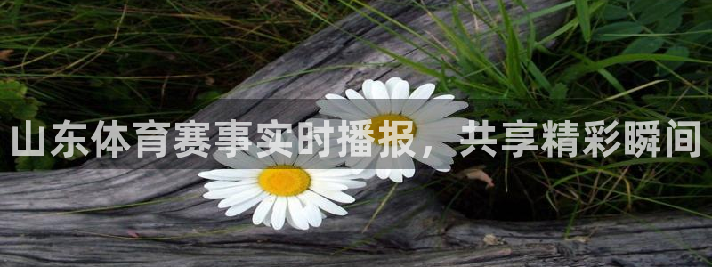 500彩票网,：山东体育赛事实时播报，共享精彩瞬间